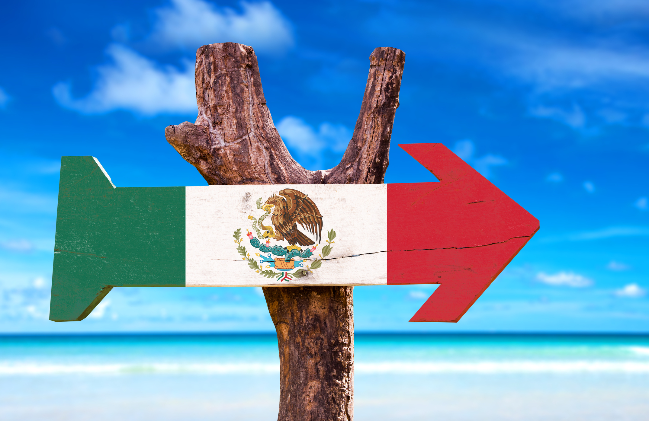 arrow with painted with Mexican flag mounted to tree against blue sky